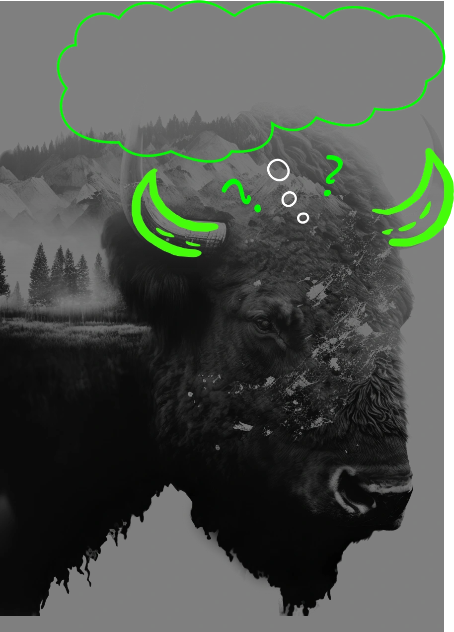Bison in the Białowieża Forest